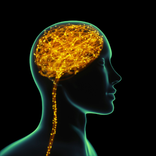 stress trauma mentoring