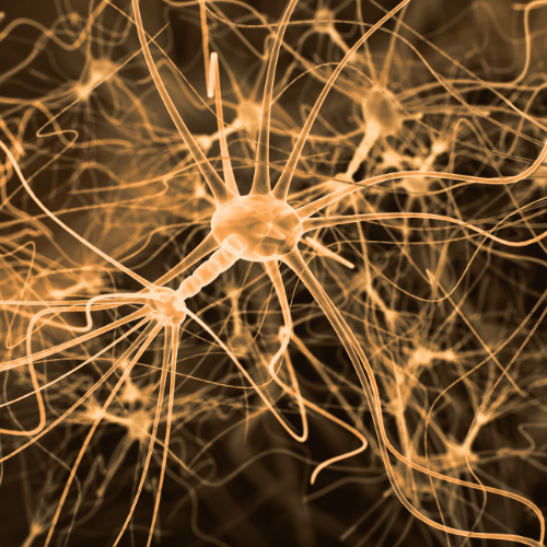 persee mentoring stress trauma